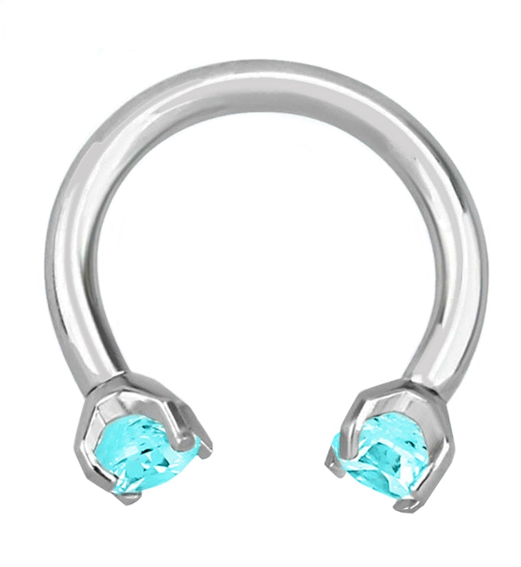 Aqua CZ Steel Stainless Circular Barbell