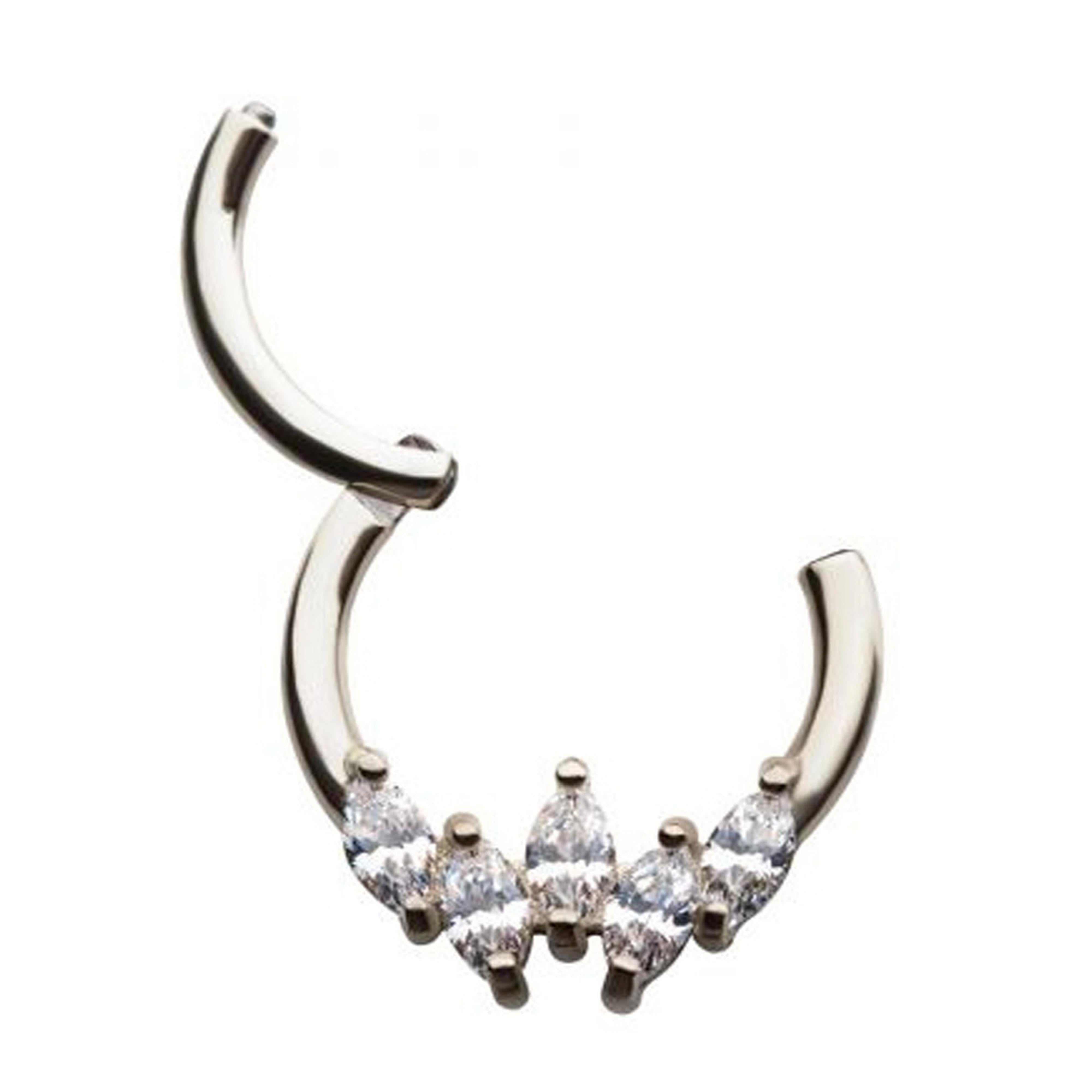 Auroral CZ Gold PVD Hinged Segment Ring