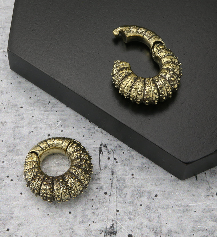 Barnacle Brass Hinged Ear Weights