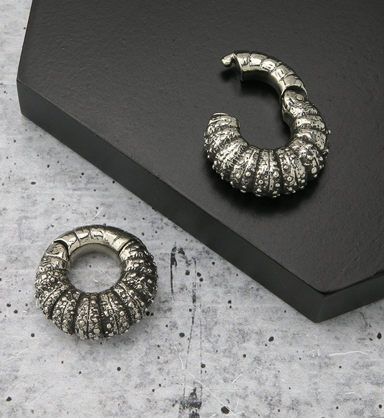 Barnacle White Brass Hinged Ear Weights