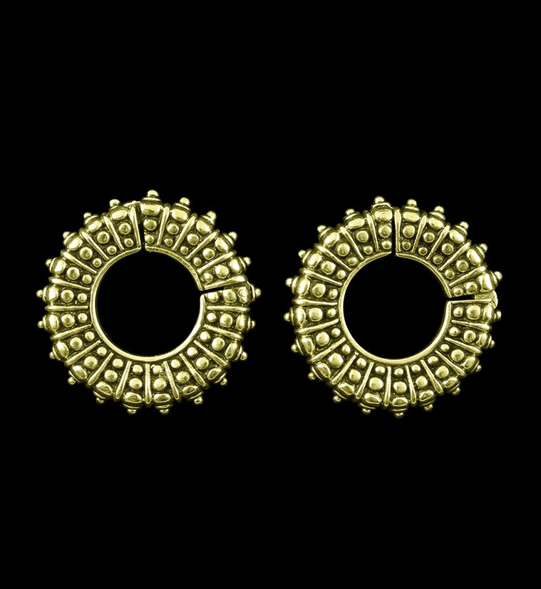 Pellet Ring Hinged Ear Weights