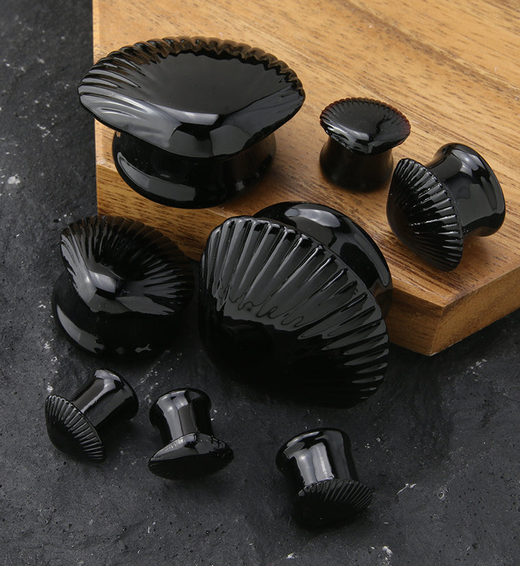 Black Seashell Glass Double Flare Plugs