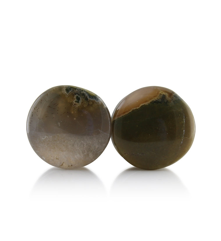 Blue Forest Petrified Wood Plugs 5/8 inch (16mm) Version 2