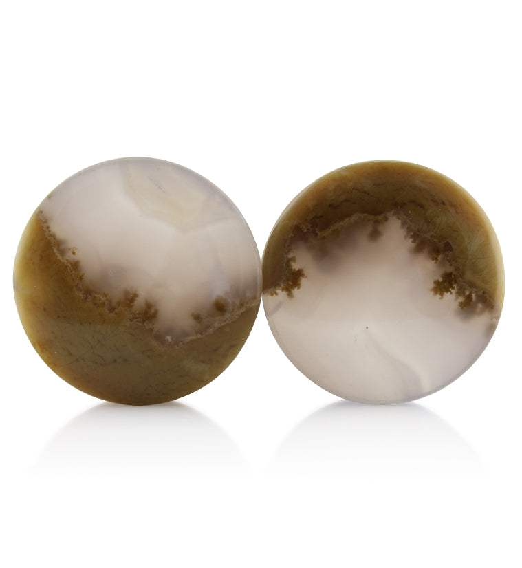 Blue Forest Petrified Wood Plugs 1 Inch (25mm) Version 2