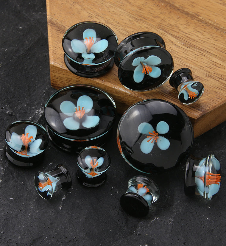 Blue Poppy Flower Black Glass Double Flare Plugs