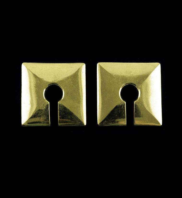 Crate Brass Ear Weights