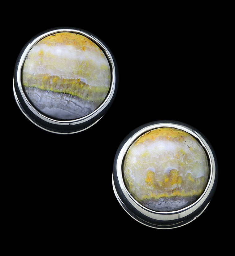Bumblebee Jasper Stone Disk White Brass Ear Weights