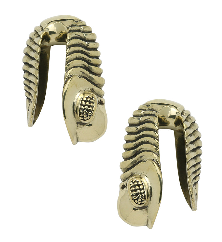 Chameleon Fossil Head Brass Hangers - Earrings