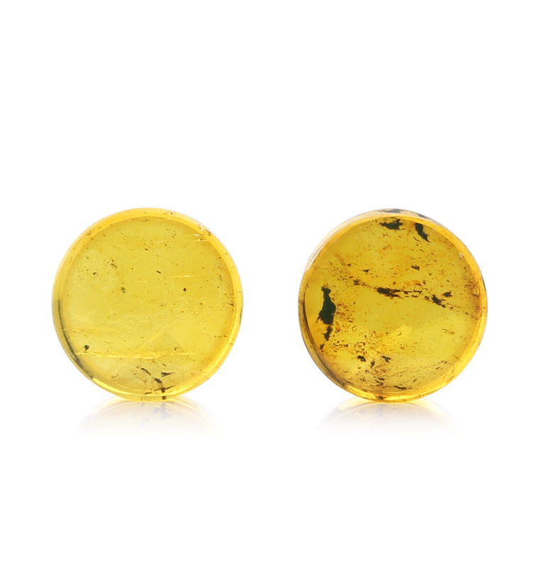 Chiapas Amber Plugs 5/8" (16mm) - Version 17