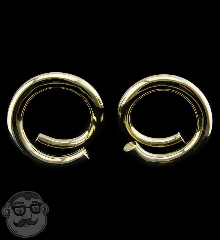 Coil Brass Ear Weights