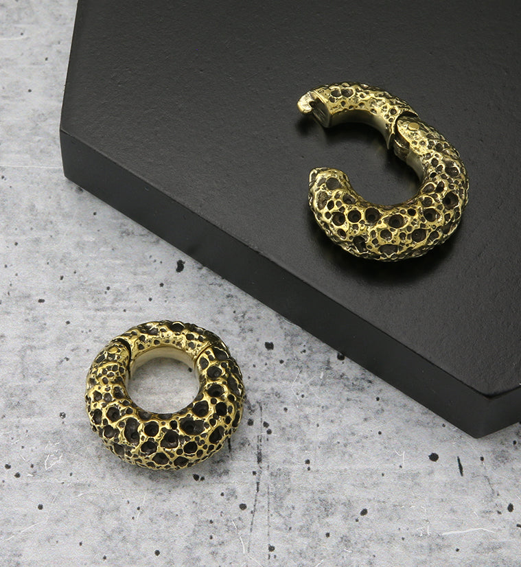 Coral Sponge Brass Hinged Ear Weights