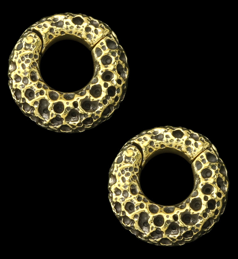 Coral Sponge Brass Hinged Ear Weights