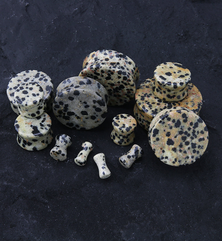Dalmatian Jasper Stone Plugs