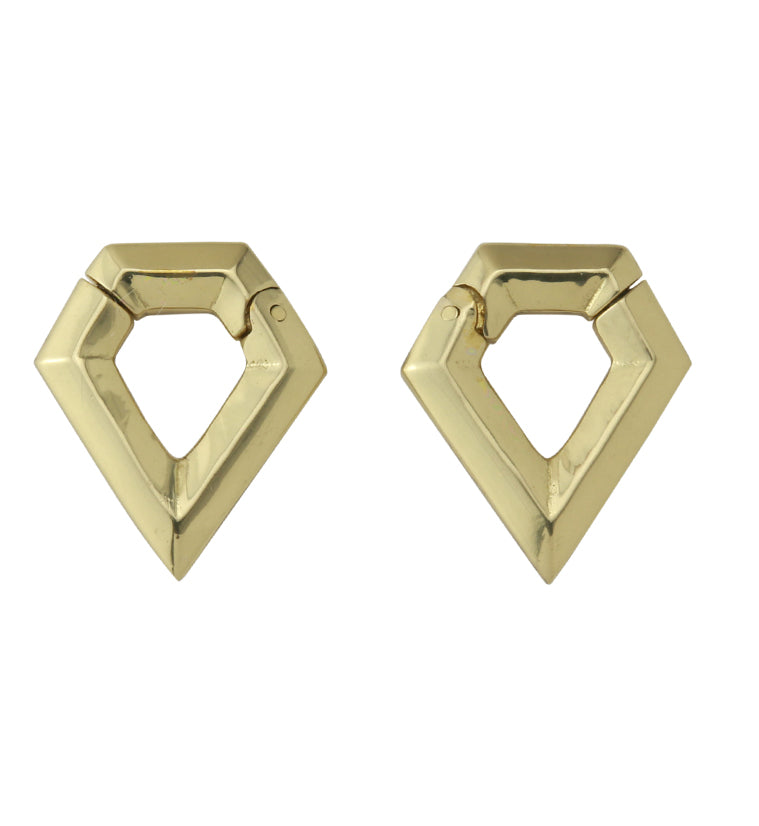 Dash Hinged Ear Weights