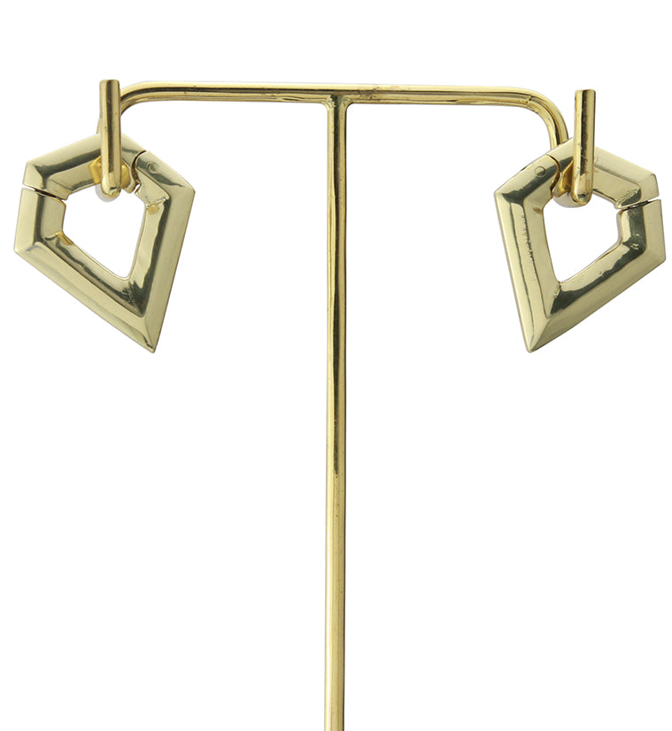 Dash Hinged Ear Weights