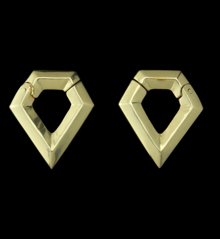 Dash Hinged Ear Weights