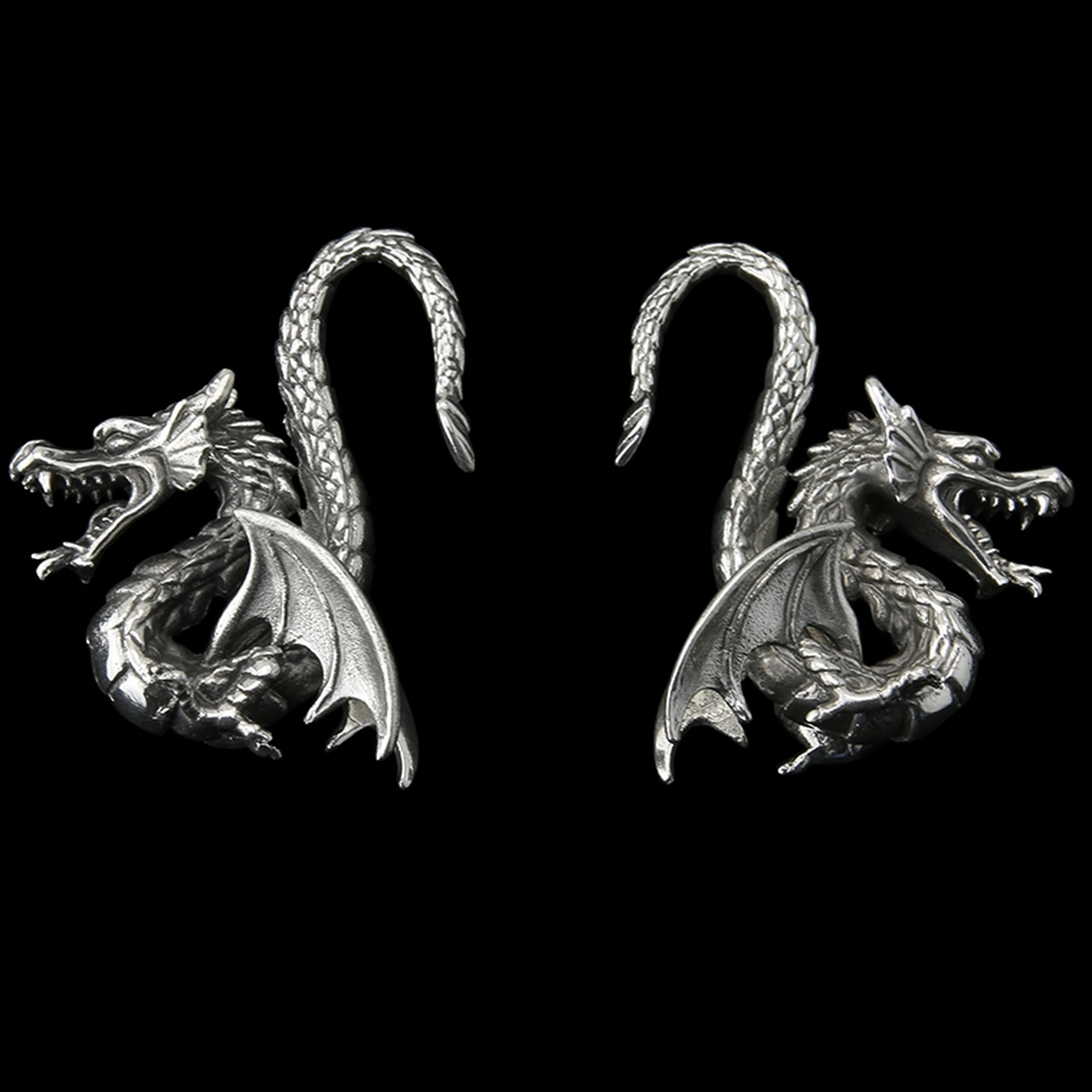 Dragon Ear Weights