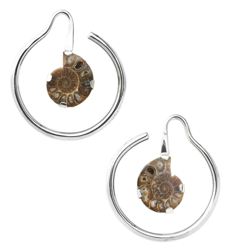 Drop Ammonite Fossil White Brass Hoop Ear Weights