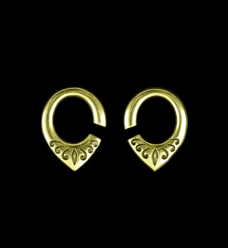 Fleck Brass Ear Weights