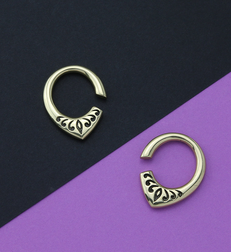 Fleck Brass Ear Weights