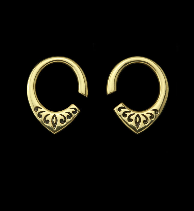 Fleck Brass Ear Weights