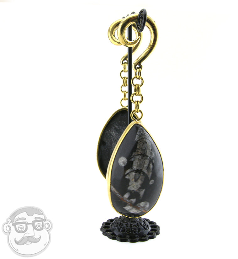 Orthoceras fossil Brass Hangers