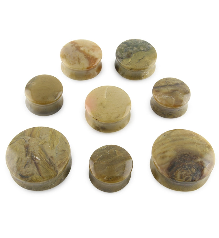 Blue Forest Petrified Wood Plugs