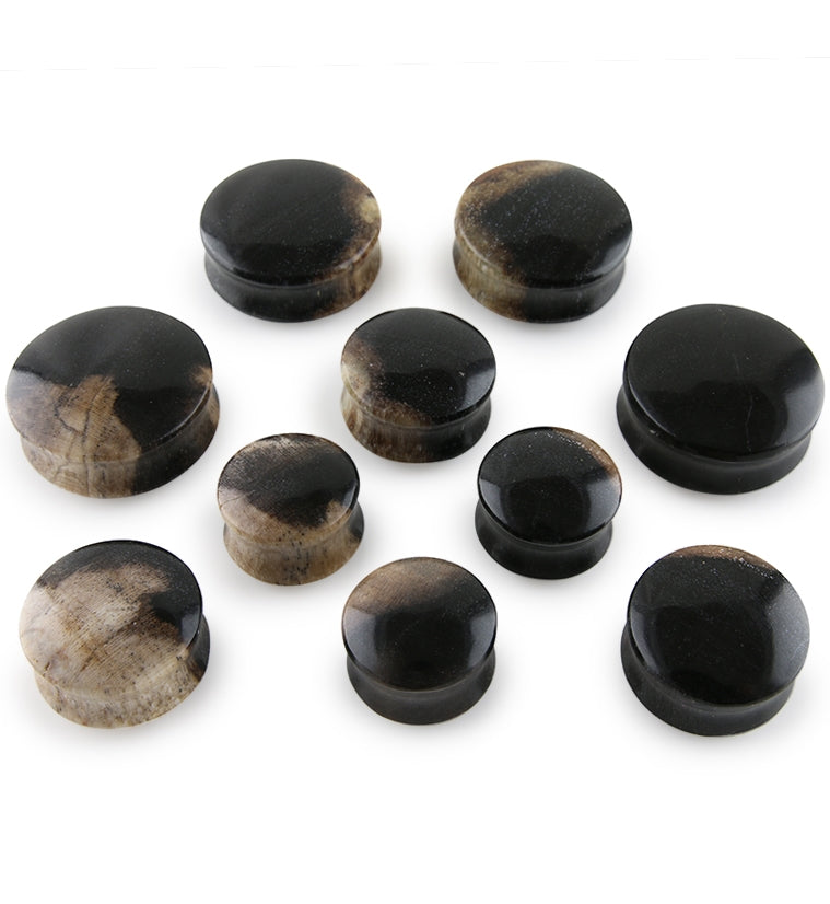 Petrified Wood Plugs