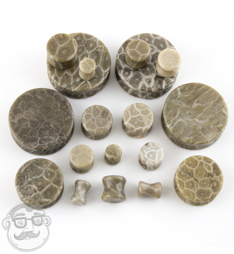 Fossilized Coral Plugs