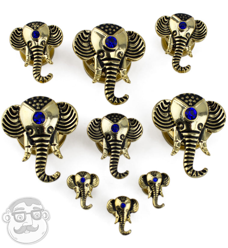 Golden Elephant Royal Blue CZ Stainless Steel Plugs