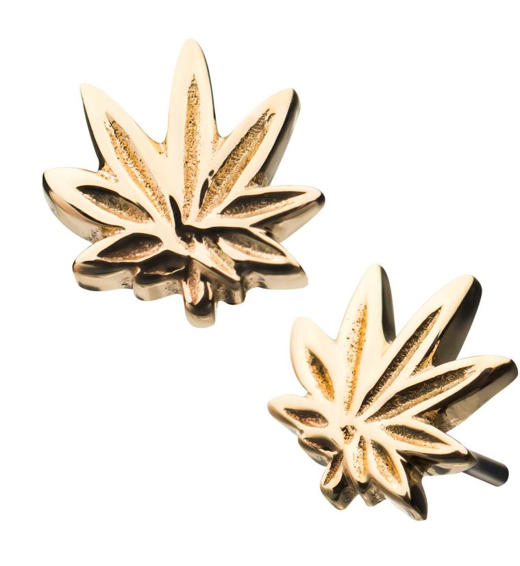 14kt Gold Pot Leaf Threadless Top