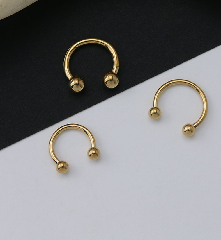 Gold PVD Basic Titanium Circular Barbell