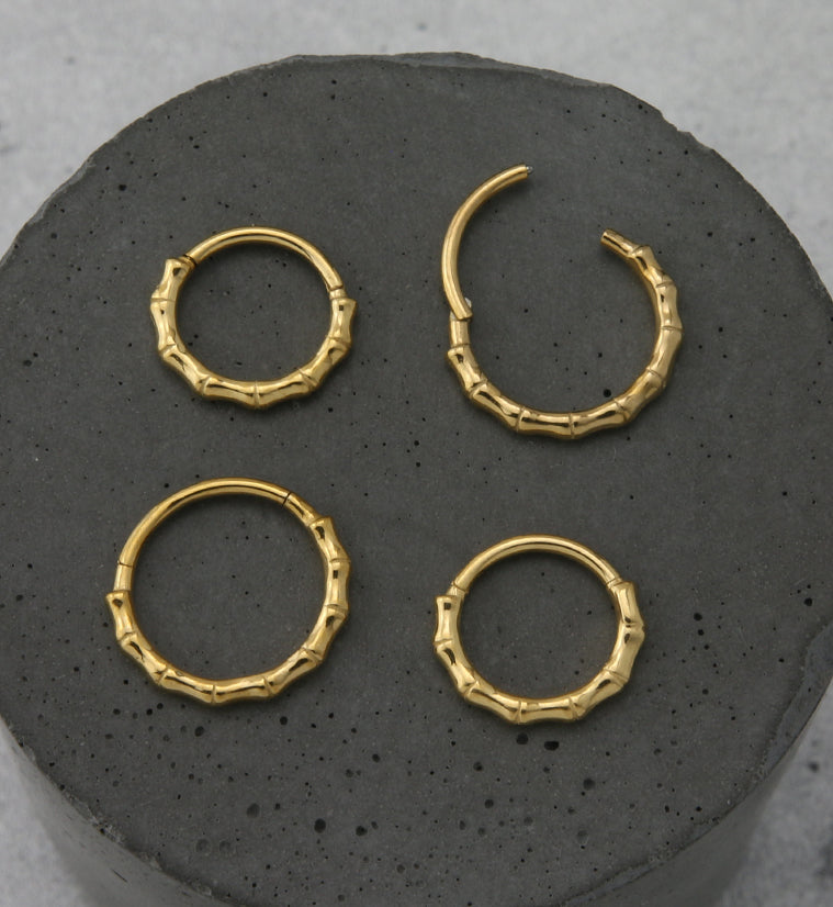 Gold PVD Bracket Stainless Steel Hinged Segment Ring