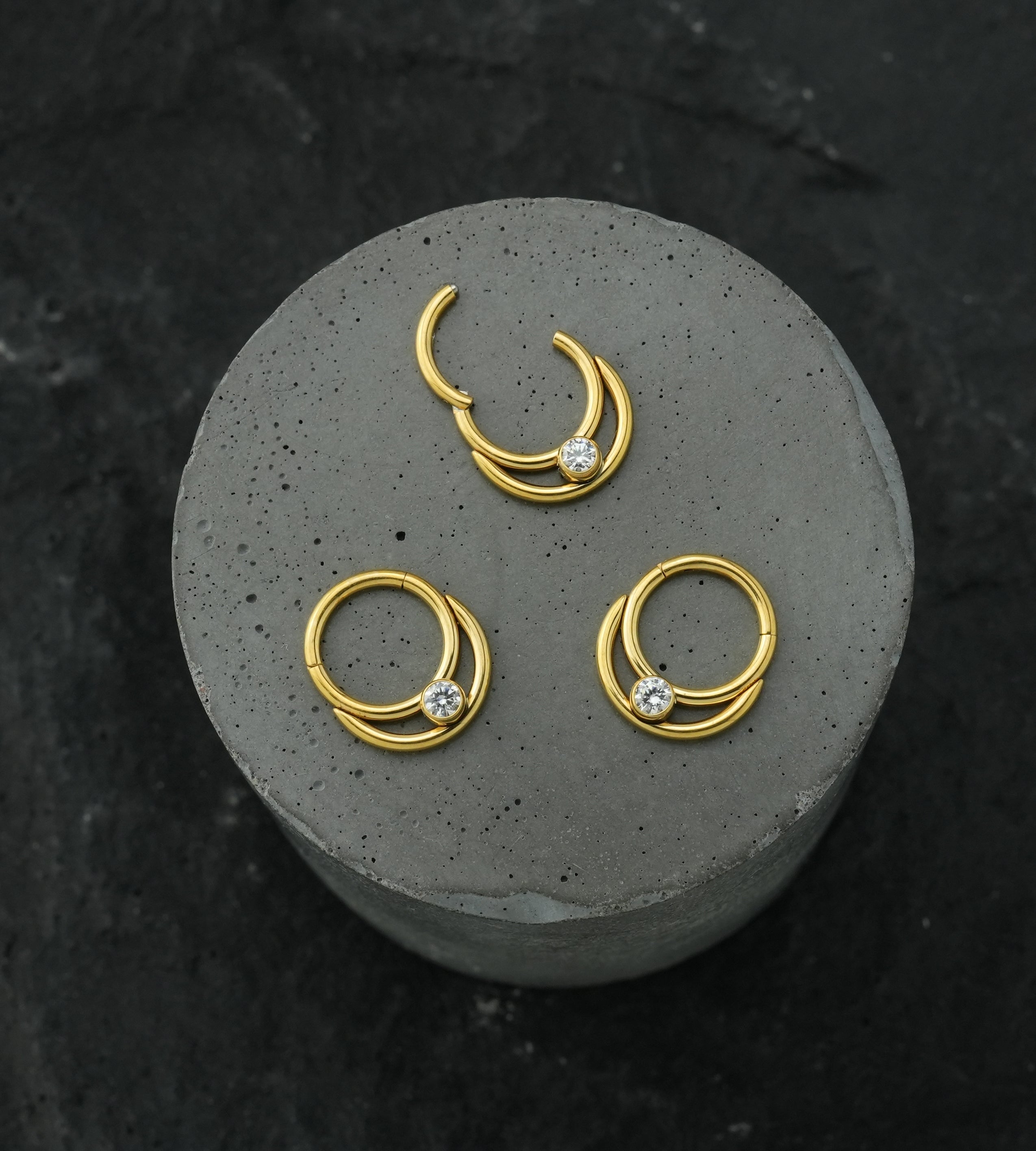 Gold PVD Double Hoop Bezel Clear CZ Stainless Steel Hinged Segment Ring