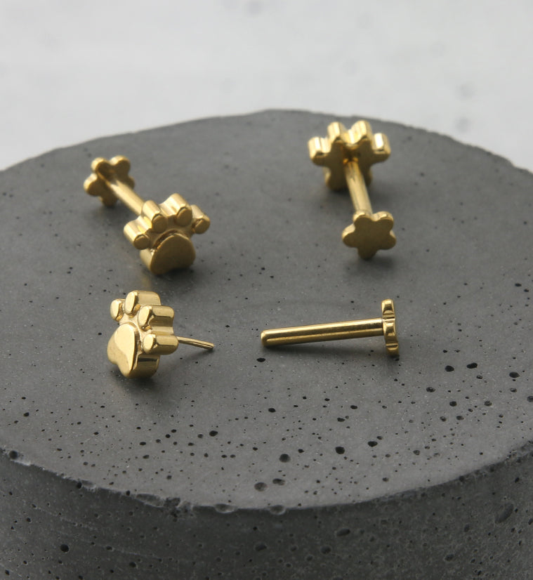 Gold PVD Paw Print Titanium Threadless Labret