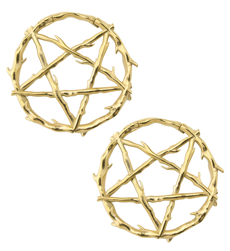 Gold PVD Pentagram Thorn Hinged Ear Weights