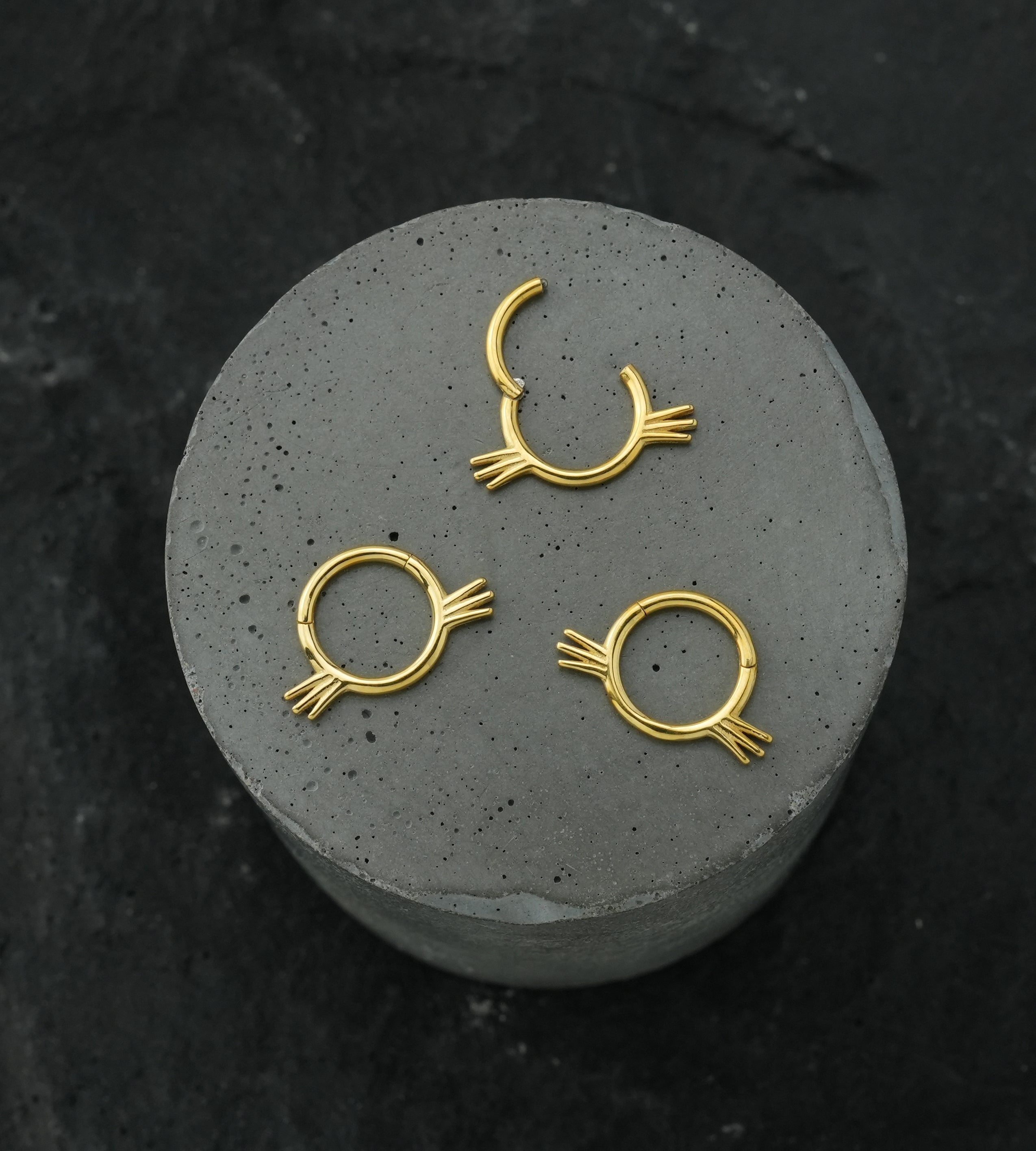 Gold PVD Whiskers Stainless Steel Hinged Segment Ring