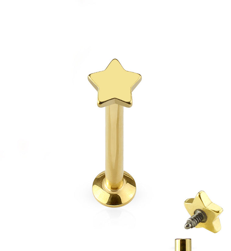 16G PVD Gold Star Top Internally Threaded Flat Back Steel Post