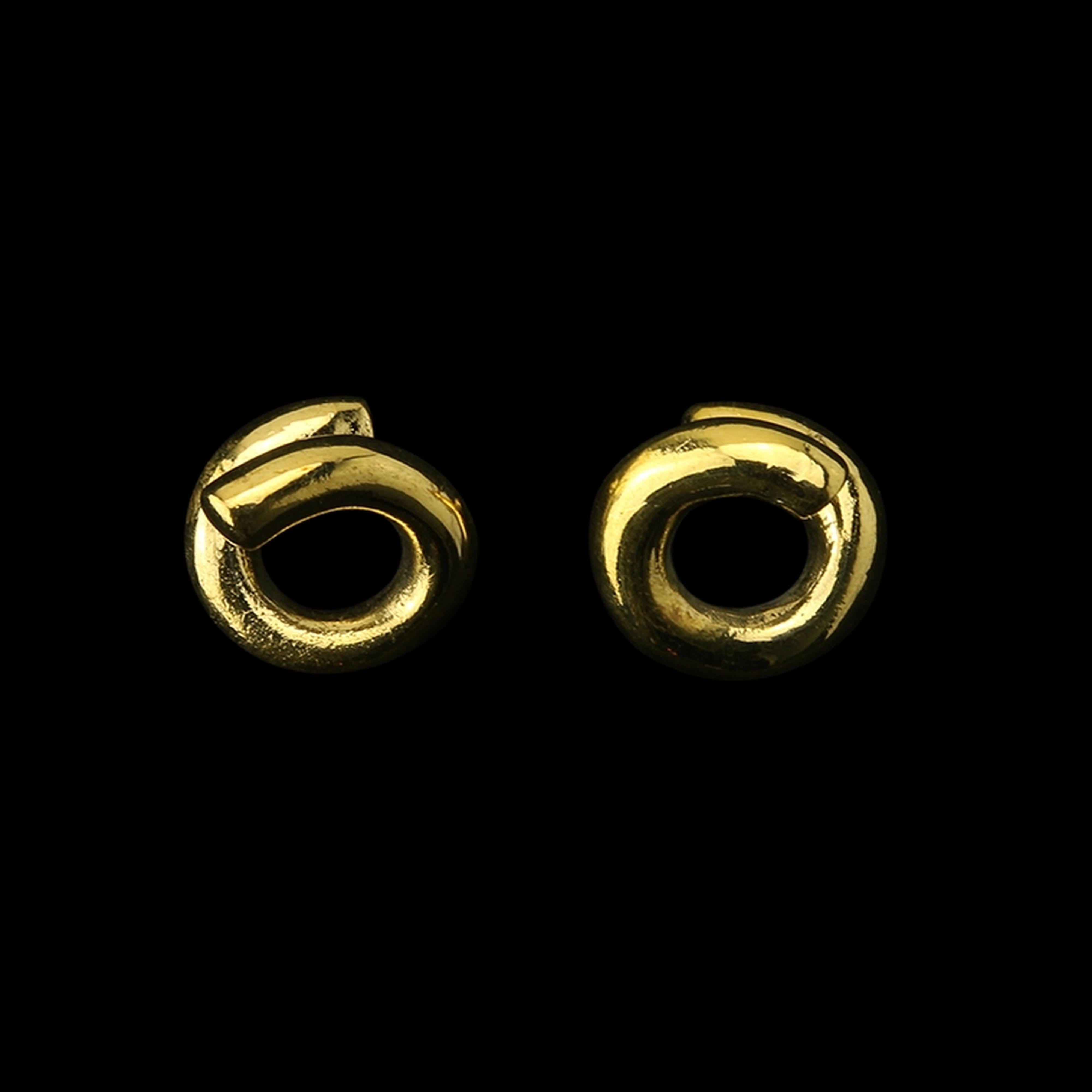 Coil Brass Ear Weights