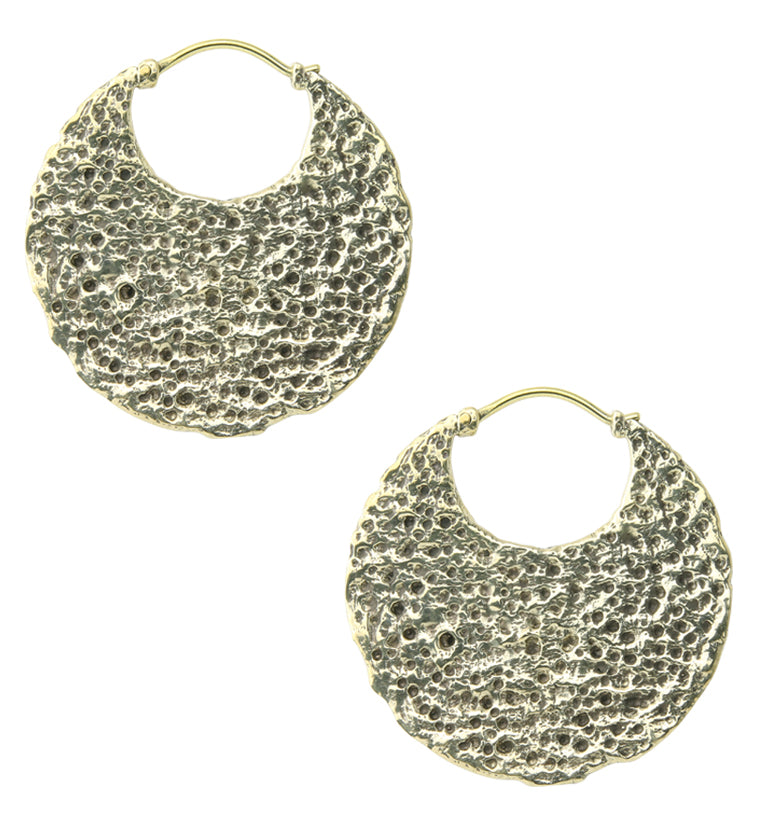 Sea Sponge Brass Hinged Ear Weights