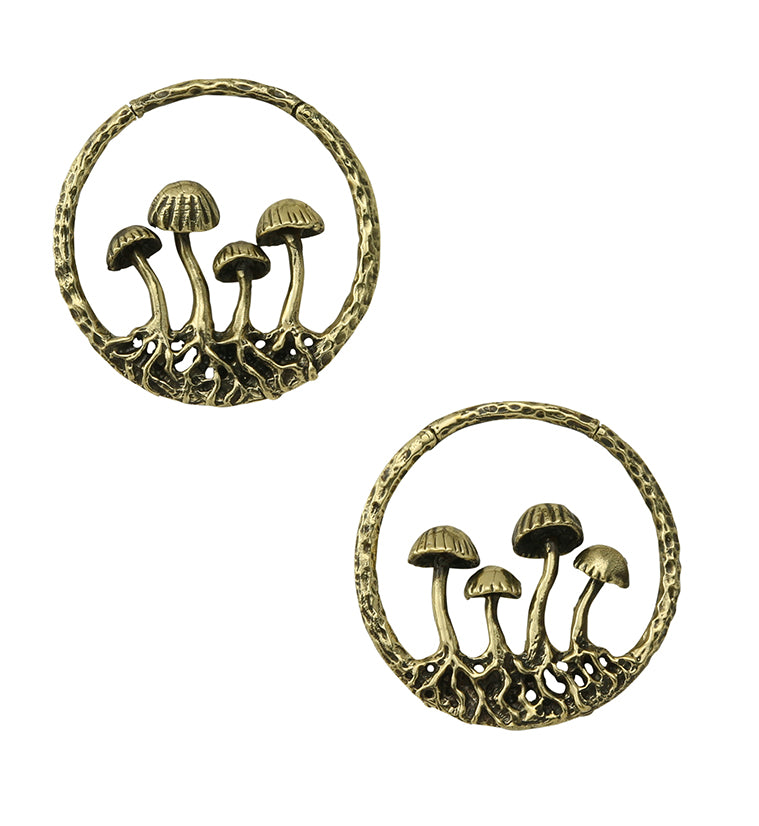 Golden Shroom Brass Ear Weights