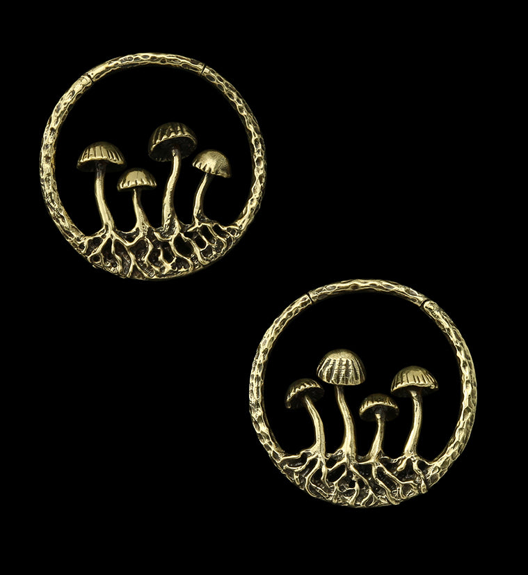 Golden Shroom Brass Ear Weights