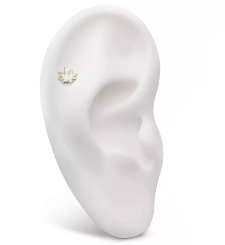 Hemp Leaf Internally Threaded Titanium Top