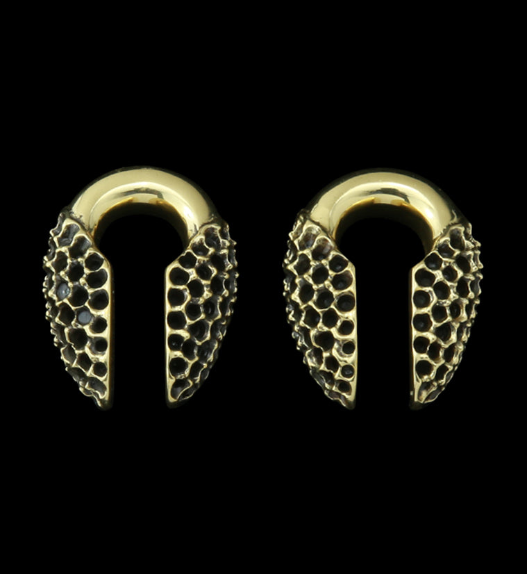 Hive Brass Ear Weights