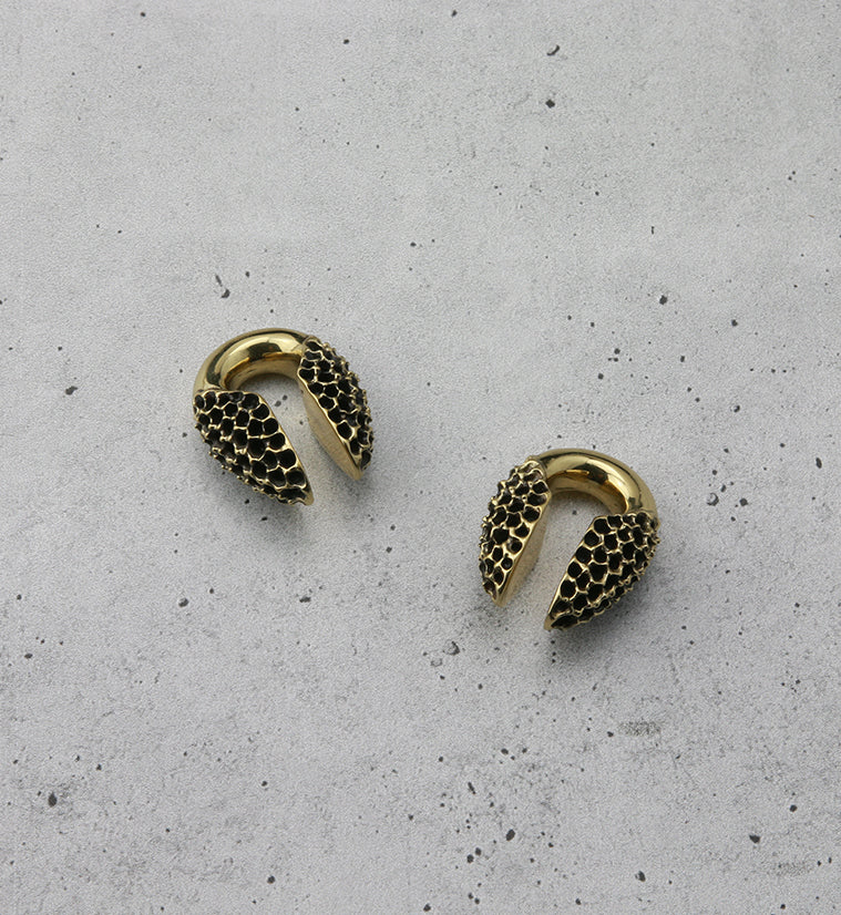 Hive Brass Ear Weights