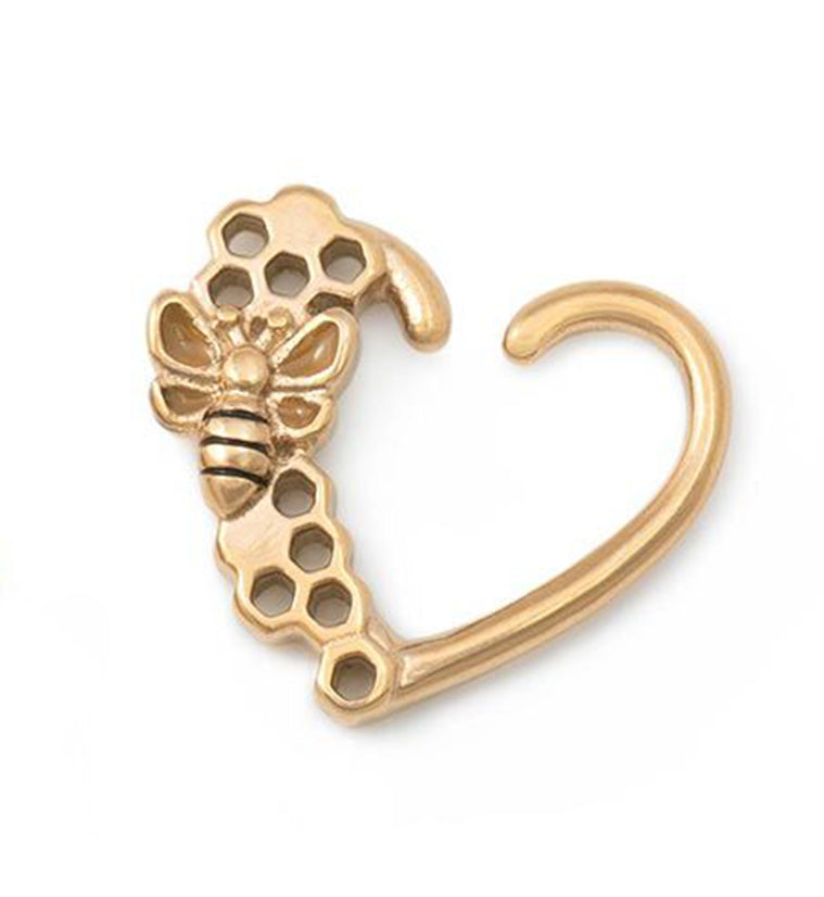 16G Bumblebee Gold PVD Daith Ring