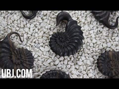 Ammonite Wooden Hangers