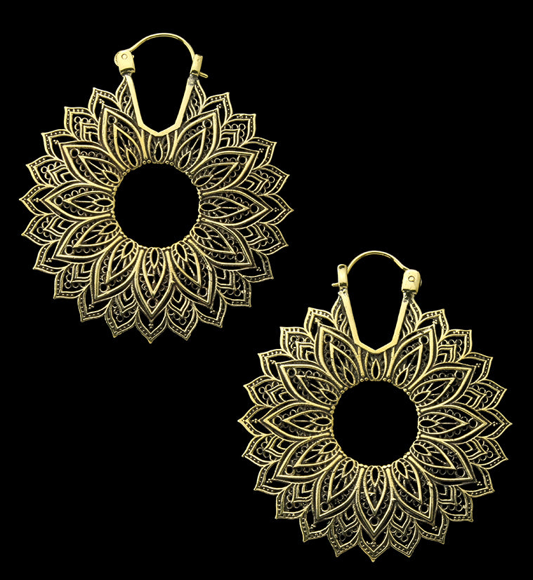 Manda Brass Ear Weights
