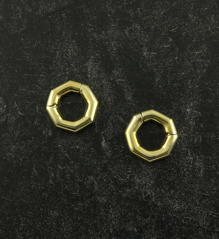 Octagon Hinged Ear Weights