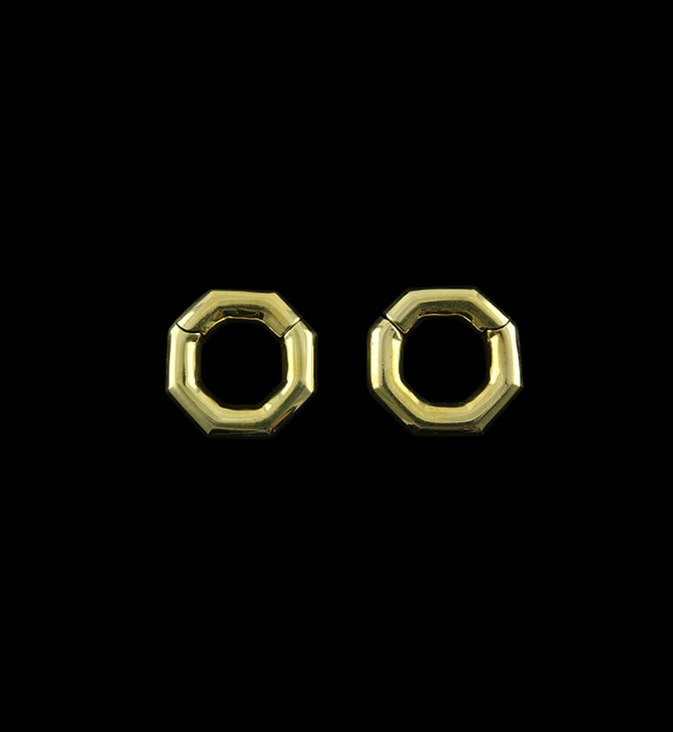 Octagon Hinged Ear Weights